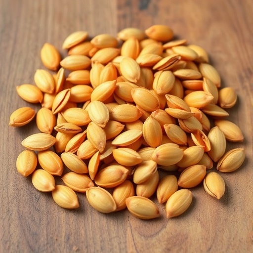 Extracto de semilla de calabaza